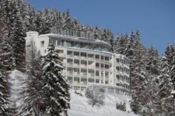  Waldhotel Davos 4*