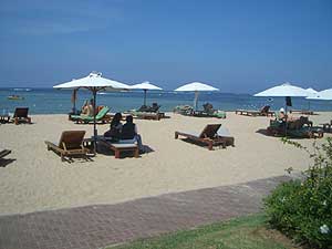   The Oasis Beach Resort Spa 3*