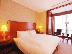   Nikko Hotels International Oriental Palace 5*