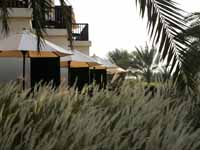   Jebel Ali Hotel Palm Tree Court & Spa 5*