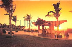   Jumeira Beach Club Resort and SPA 5*
