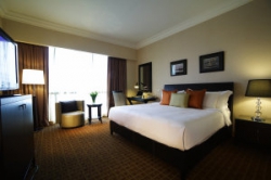   Grand Copthorne Waterfront 5*