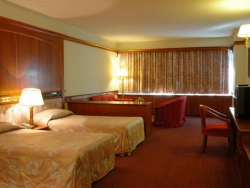  Camelot Hotel 3*