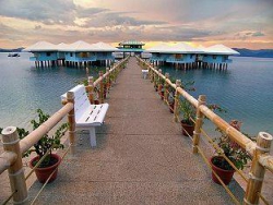   Dos Palmas Arreceffi Island Resort 4*