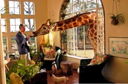   Giraffe Manor 5*