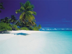   Shangri-La s Villingili Resort & Spa Maldives 5*