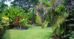   Taveuni Island Resort 4*