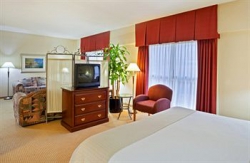   Holiday Inn Downtown Hotel 4*